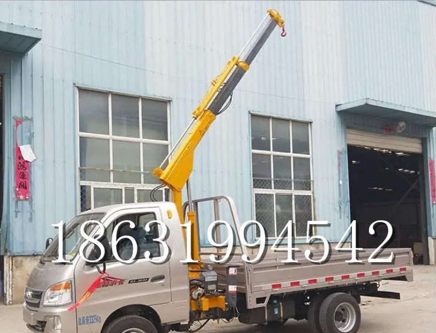 东乡族自治县车载吊机小吊机220V包安装出租轻卡吊车车载吊机全地形履带吊